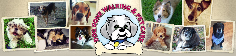 Dog Gone Walking & Pet Care LLC