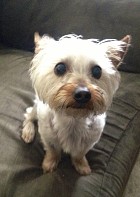 Winston Winston