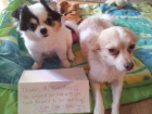 Bella Bailey & Cooper Bella Bailey & Cooper
